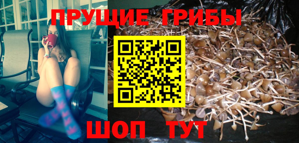 Псилоцибиновые грибы ЛСД  Вход с VPN  Новочебоксарск 
