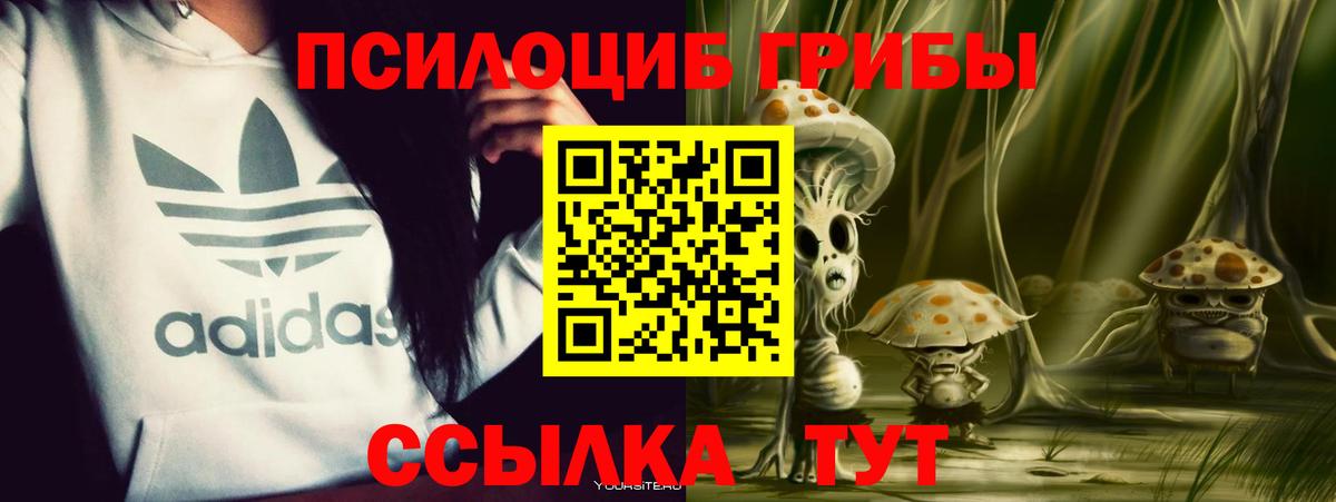 Галлюциногенные грибы MAGIC MUSHROOMS Новочебоксарск
